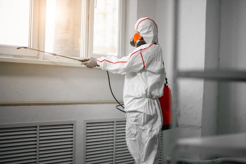 Professional mold remediation services in Oakland, NJ